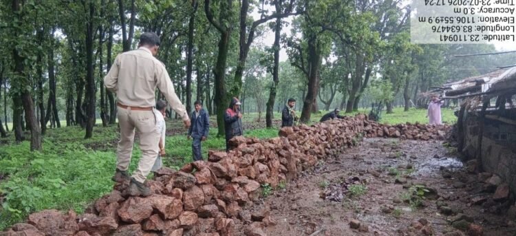 वन विभाग की बड़ी कार्रवाई: अवैध अतिक्रमण हटाकर वनभूमि कराई मुक्त, तत्काल शुरू किया गया पौधरोपण