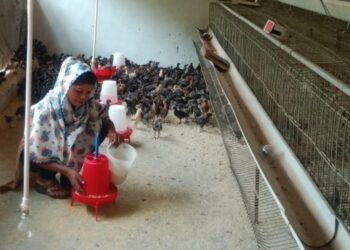 सफलता की नई उड़ान : पारंपरिक मजबूरी से ‘लखपति दीदी’ बनने तक का सफर
