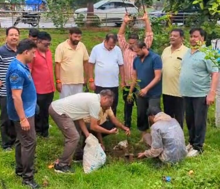सांसद विजय बघेल ने सिंदूर उद्यान मे किया श्रमदान