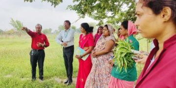 धमतरी मॉडल बना देश के लिए प्रेरणा
