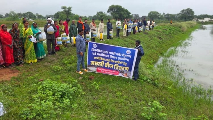आजीविका डबरियों और नवा तरिया में मत्स्य पालन से बढ़ेंगे ग्रामीण आय के अवसर