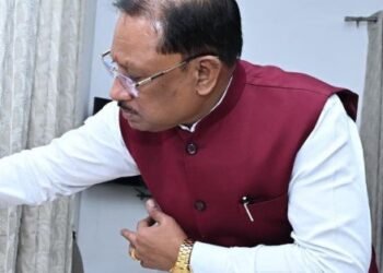 मुख्यमंत्री श्री विष्णुदेव साय ने पंडित दीनदयाल उपाध्याय की जयंती पर उन्हें किया नमन